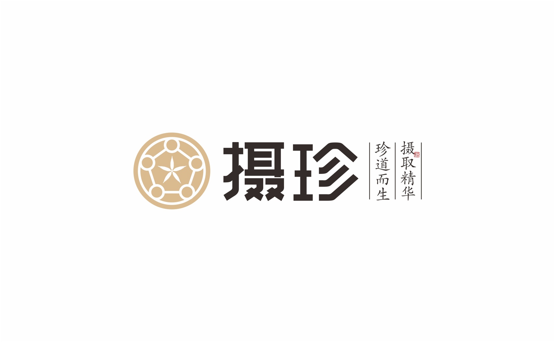 摄珍品牌创建策划设计logo组合