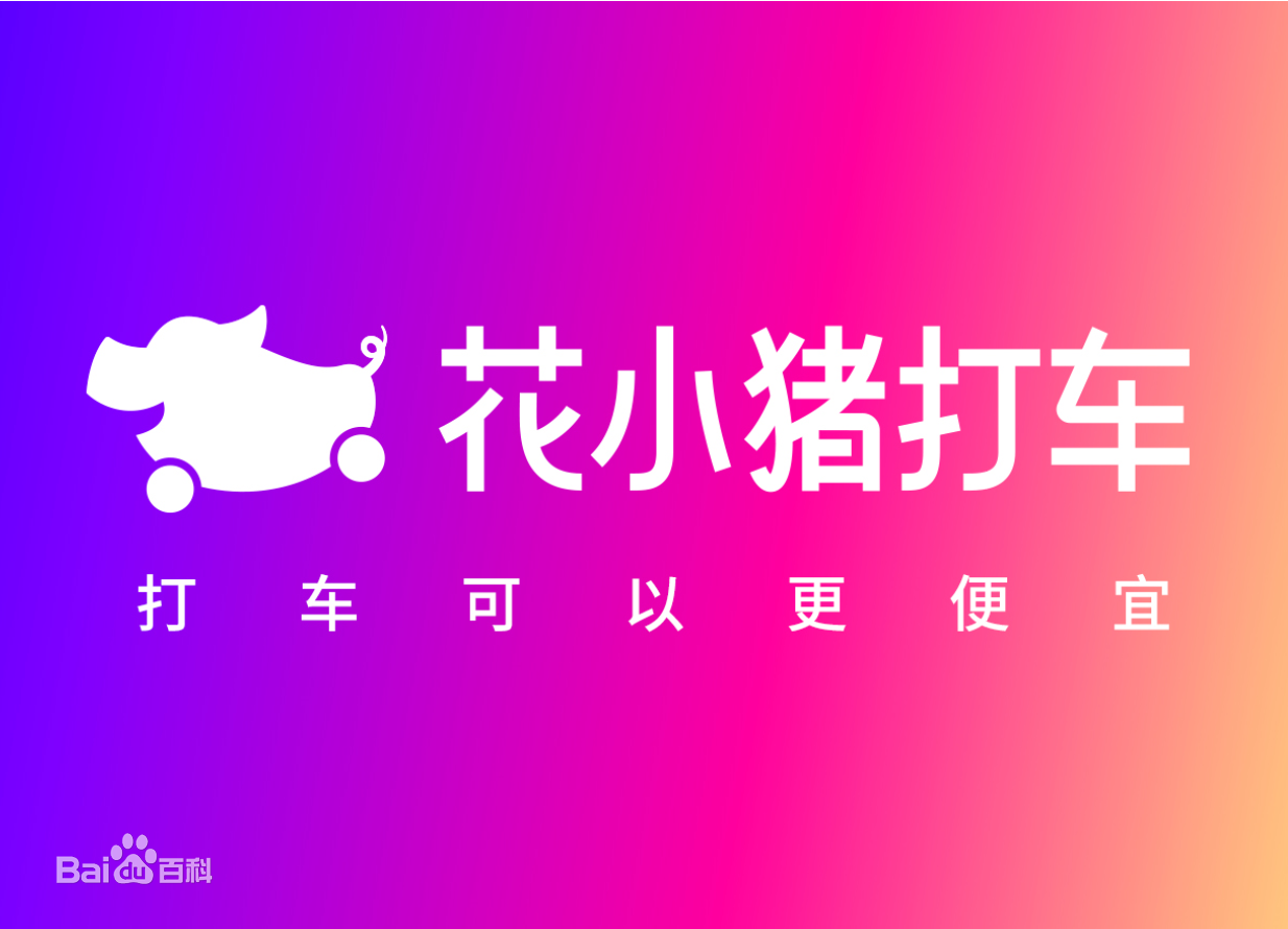 深圳品牌设计，花小猪，品牌LOGO设计