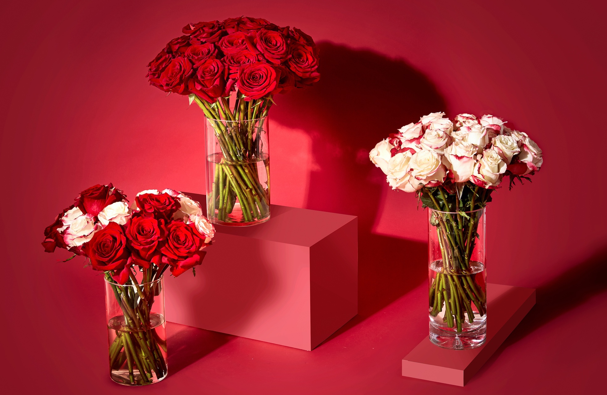 东莞VI设计，ROSEONLY，东莞快消品设计