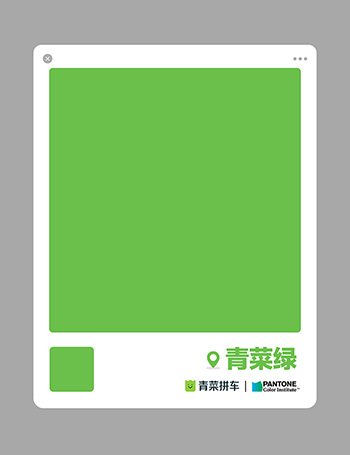 东莞vi设计,青菜拼车,青菜绿，东莞品牌设计