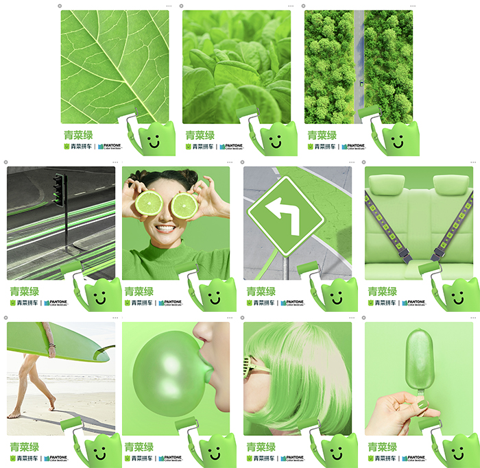 东莞vi设计,青菜拼车,青菜绿，东莞品牌设计