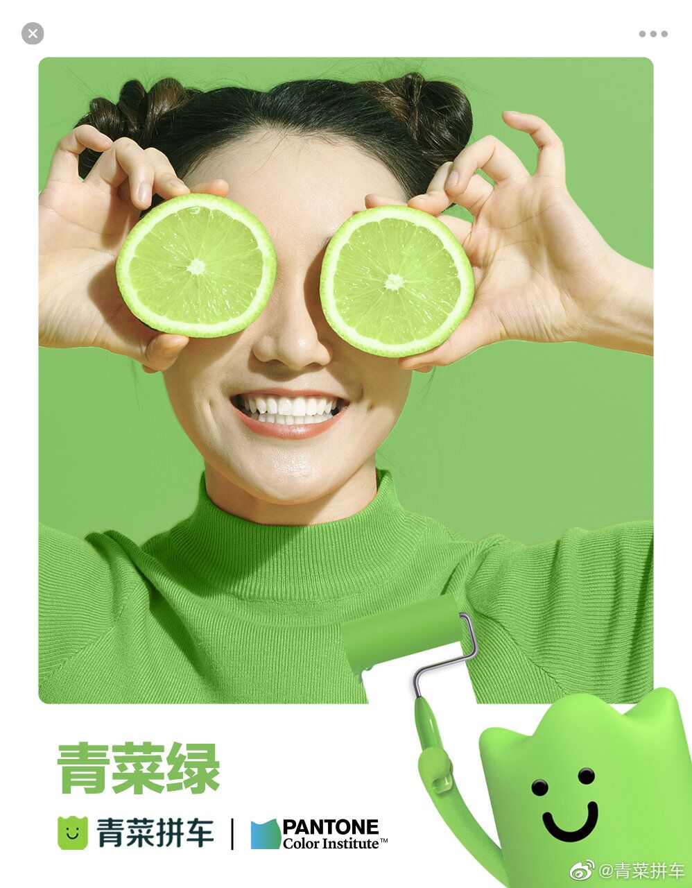 东莞品牌策划，青菜绿，东莞vi设计
