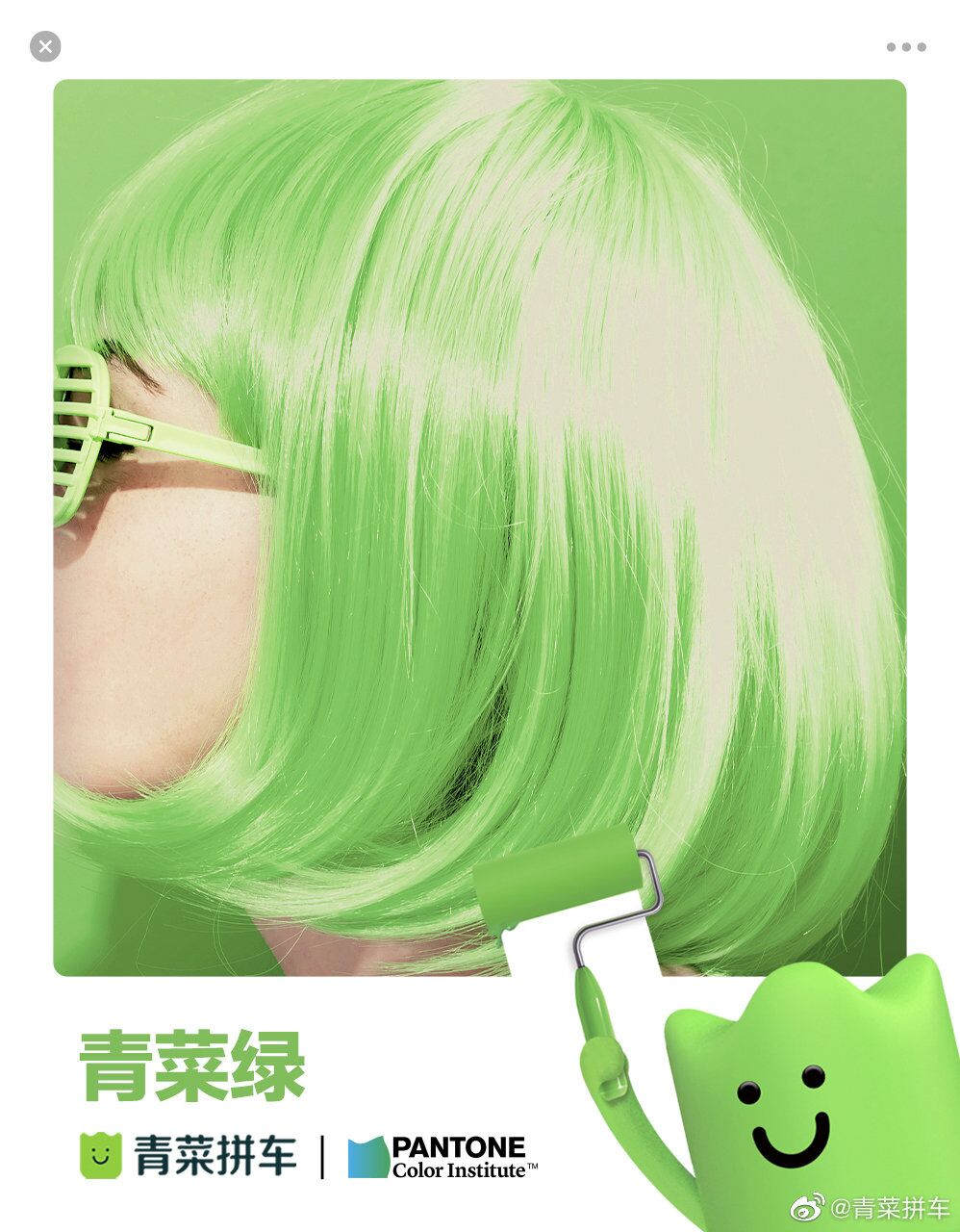 东莞品牌策划，青菜绿，东莞vi设计