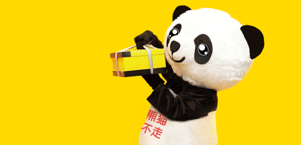 东莞品牌策划，熊猫不走，品牌策划设计，东莞设计