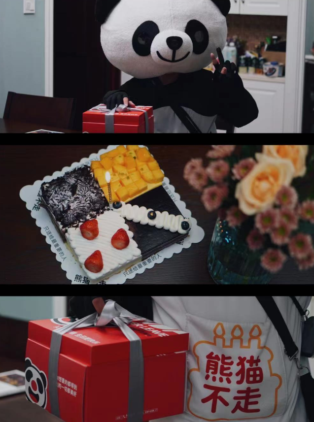 东莞品牌策划，熊猫不走，品牌策划设计，东莞设计
