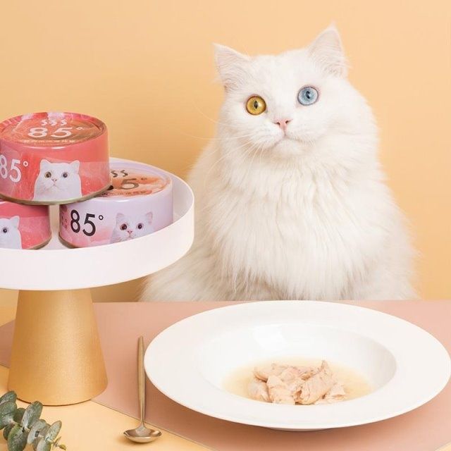 连锁品牌，深圳策划设计，尾巴生活，快消品设计
