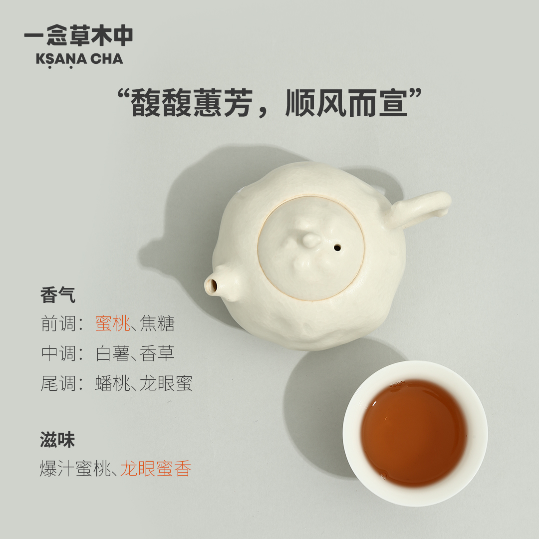 深圳品牌策划设计，茶品牌策划，连锁品牌，一念草木中