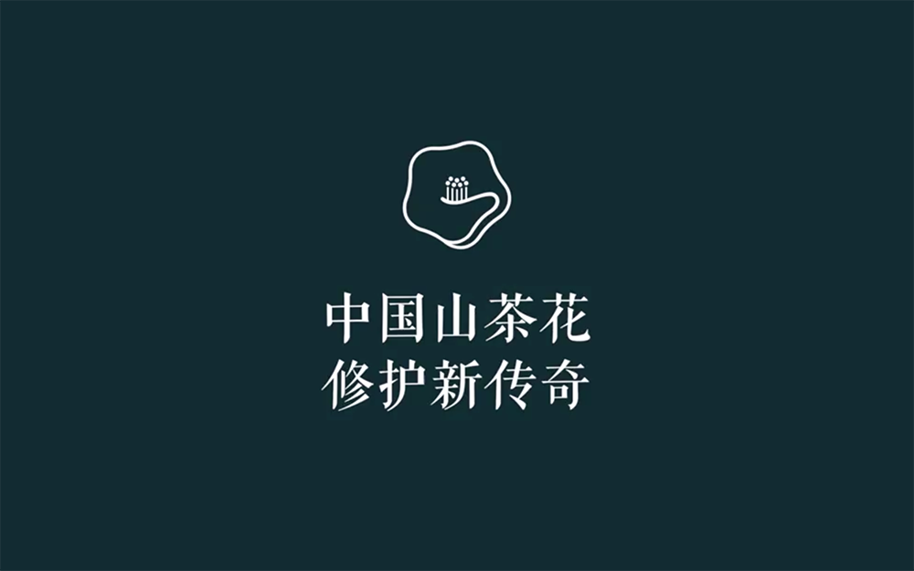 深圳品牌设计，深圳logo设计，林清轩新logo深圳vi设计