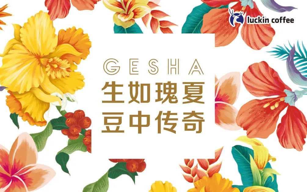 瑞幸咖啡「瑰夏」,深圳VI设计,包装设计,深圳品牌策划设计